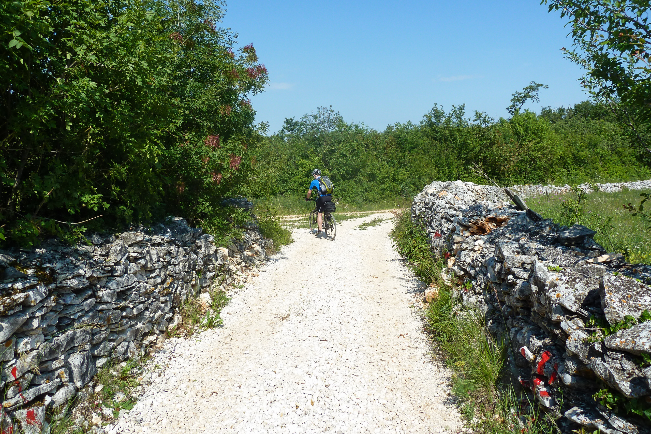 Feldweg zwischen istrischen Steinmauern